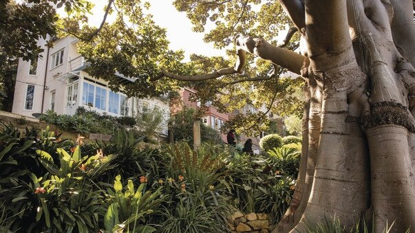 The Whiteley home from Wendy Whiteley's Secret Garden, Lavender Bay.