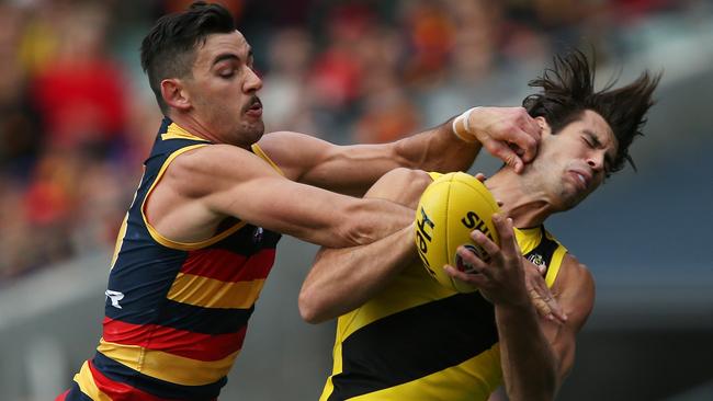 Adelaide, on top. Photo: James Elsby/AFL Media/Getty Images