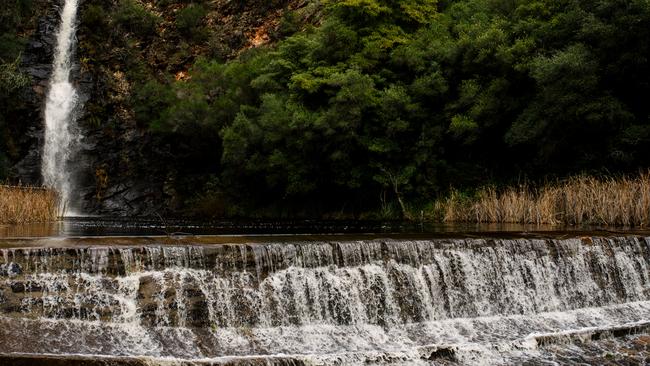 Heavy rainfall in the Adelaide Hills led to a downstream gushing at Waterfall Gully. Picture: Morgan Sette