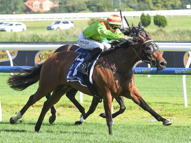 Fortunate Kiss hits the line to win at Caulfield in January. Picture: Brett Holburt-Racing Photos