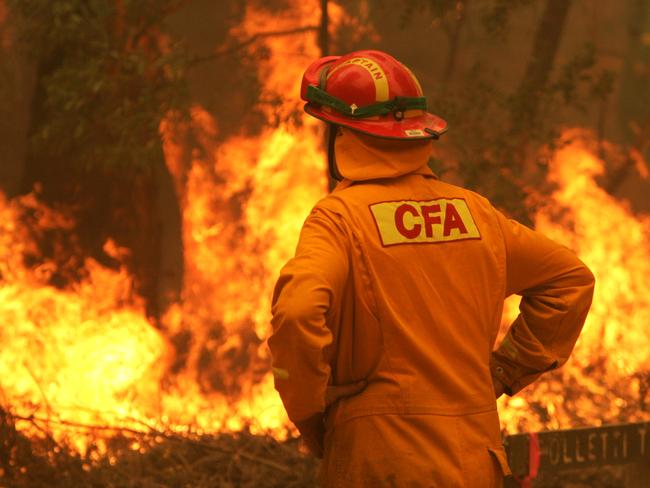 CFA and DSE firefighters work to control the fire as it sweeps through woodland on the Jamieson- Woods Point Road, south of Jamieson, in northeastern Victoria.