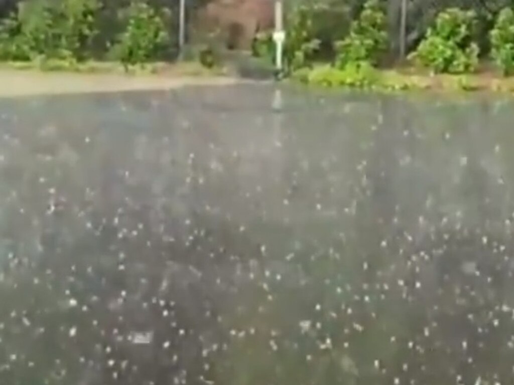 Hail in Sydney this afternoon. Picture: 9 News