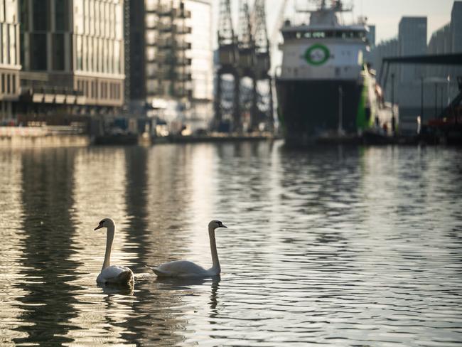 Andrew Forrest's Fortescue Green Pioneer at Canary Wharf in London. He has made it a mission to eliminate fossil fuels from Fortescue. Picture: supplied