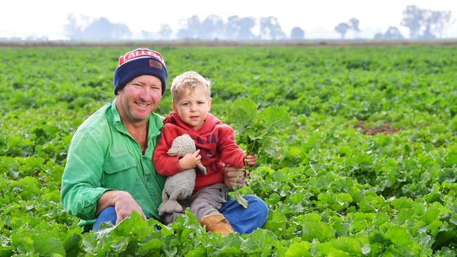 Cropping and beef farmer Jason Palmer with his son Sam, in the family’s canola crop. Picture: Zoe Phillips