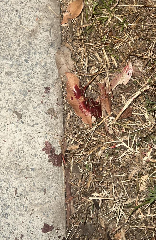 Blood splatters at Tucker Family Park, discovered after an alleged stabbing on December 10.