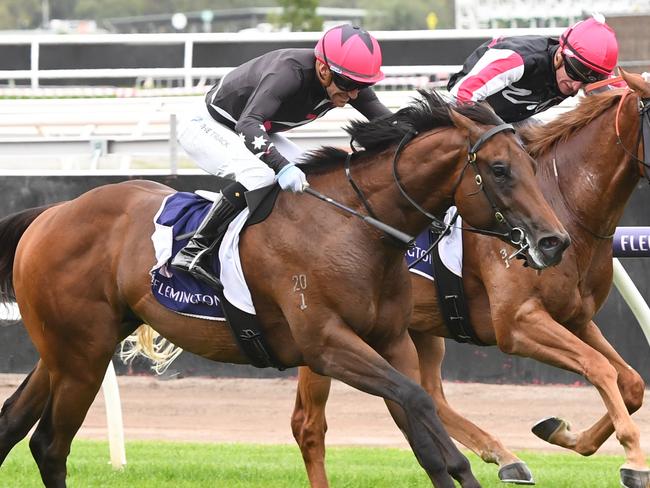 Zestiman ridden by Luke Currie wins the All Jockeys Dash at Flemington Racecourse on January 13, 2024 in Flemington, Australia. (Photo by Brett Holburt/Racing Photos via Getty Images)