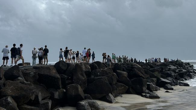 Hundreds of locals grabbed their morning coffees, hit the lookout, and watched the ocean put on a show ahead of Cyclone Alfred’s arrival.