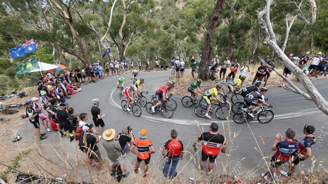 Cycling fans encourage the riders during the Corkscrew Rd climb in the Santos Tour Down Under, Stage 3. Picture: Tait Schmaal...