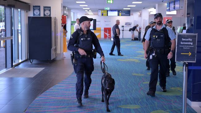 Australian Federal Police canine team will increase patrols at Australian airports this summer. Picture: (A)manda Parkinson