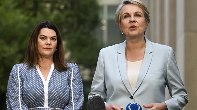 Federal Water Minister Tanya Plibersek and Greens senator Sarah Hanson-Young hold a press conference at Parliament House in Canberra. Picture: NCA NewsWire / Martin Ollman