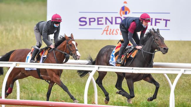 Aidan O’Brien’s two charges Anthony Van Dyck and Tiger Moth at Werribee. Picture: Racing Photos via Getty Images