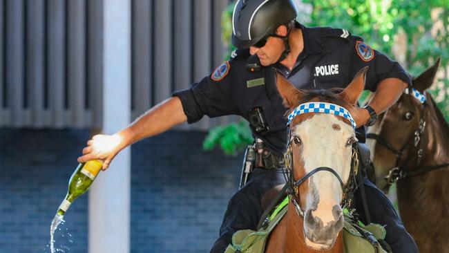 Senior Constable Charles Drury on Faceman enforcing alcohol laws on the streets of Darwin.