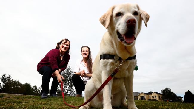 University of Adelaide researchers Dr Anne-Lise Chaber and Dr Susan Hazel labrador like those being trained to sniff out COVID-19 in people.