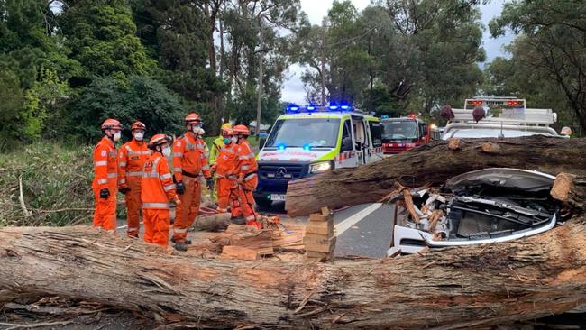 A tree fell on the car in Mt Evelyn. Picture: Lilydale SES