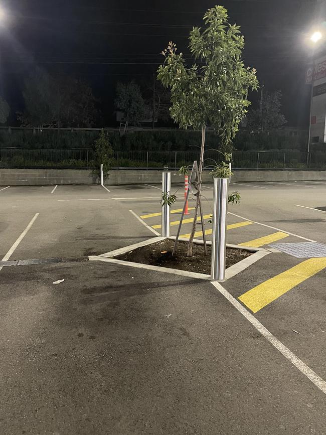 The trees and poles in the car spaces.