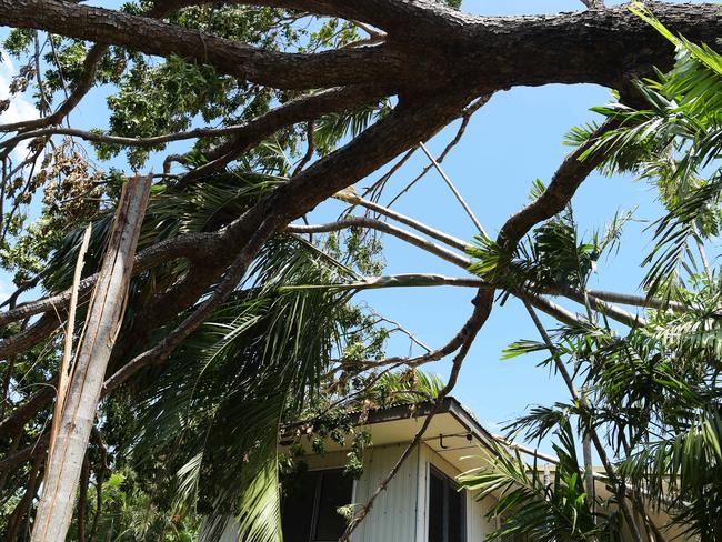 A fallen tree has narrowly missed a house in Nightcliff during Cyclone Marcus in Darwin. Picture: Keri Megelus