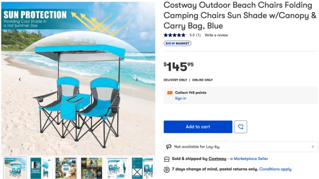 The double seat comes with a canopy for extra sun protection. Image: Big W