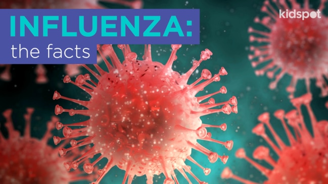 Dr Sam explains everything you need to know about influenza.