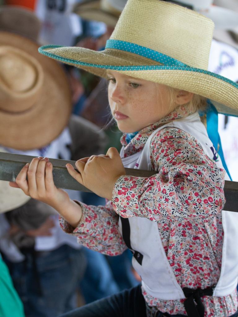 Johanna Lamb watches over her cow during a lesson.