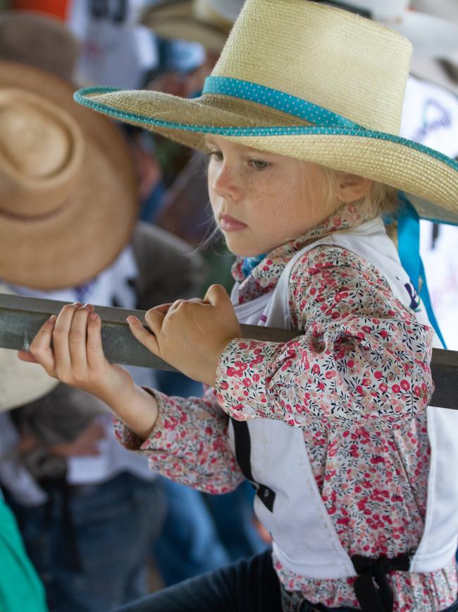 Johanna Lamb watches over her cow during a lesson.