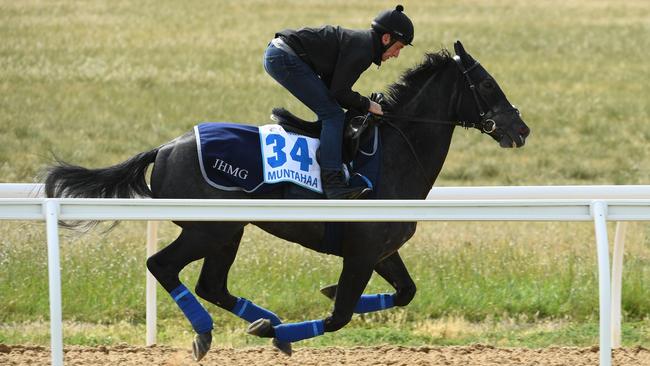 Muntahaa in action at Werribee Racecourse. Picture: AAP