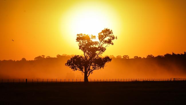 Dust rises in a drought-affected paddock containing a failed wheat crop on the outskirts of the north-western New South Wales town of Gunnedah – once the home of poet Dorothea Mackellar. Australia was a “sunburnt country” before we blamed climate change. Picture: David Gray/Getty Images