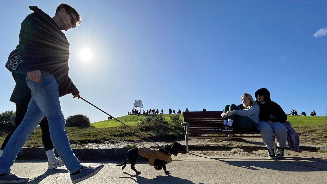 RSPCA Victorian chief inspector Michael Stagg has recommended pet owners plan ahead and keep dogs cool over summer. Picture: NCA NewsWire / Valeriu Campan.