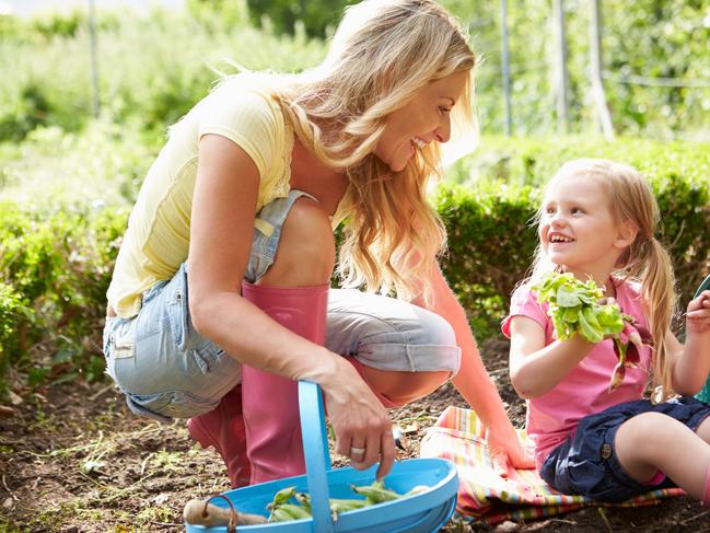 Mother And Daughter Kneeling Down Harvesting Radish On Allotment