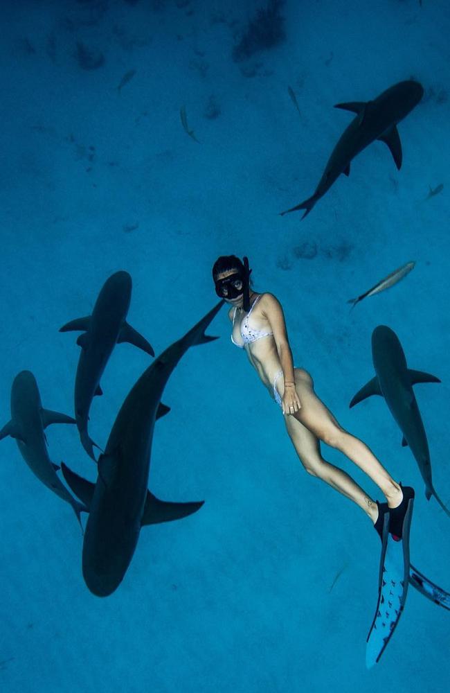 Madison Stewart, of the Gold Coast, who is a shark protection activist behind the account @sharkgirlmadison with 190k followers. Pictures: Instagram