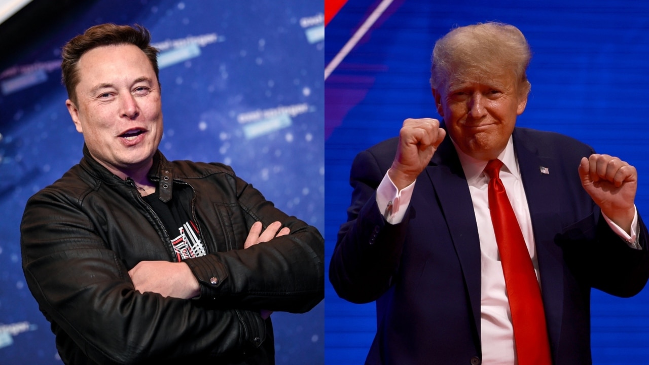 Pressure mounts on Elon Musk to return Donald Trump to Twitter