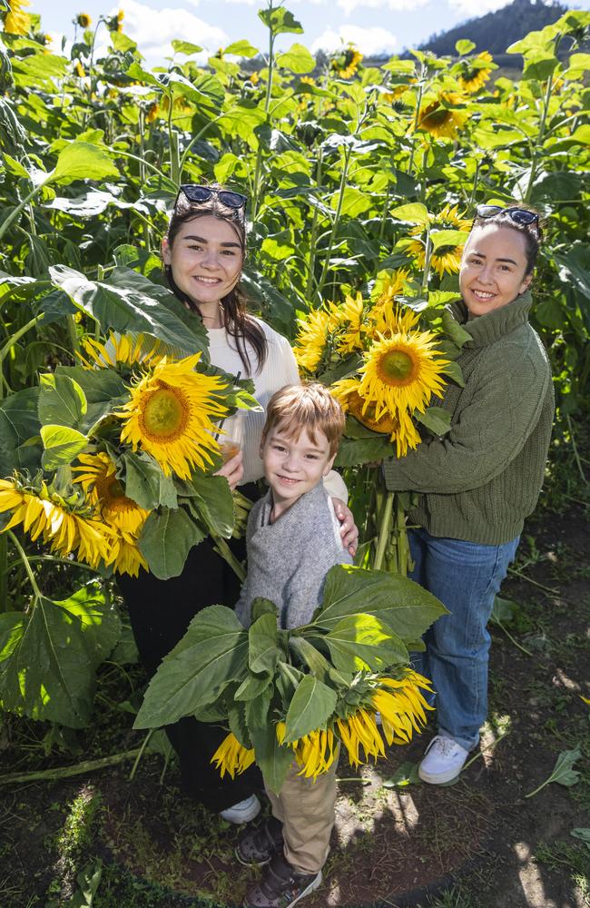 Gathering their sunflowers are (from left) Monique, Noah and Rachelle Deem at the picnic with the sunflowers event hosted by Ten Chain Farm, Saturday, June 8, 2024. Picture: Kevin Farmer