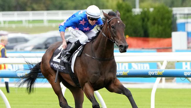 Feroce will attempt to go one better than his Caulfield Guineas result in Saturday's Group 1 Australian Guineas at Flemington. Picture: Racing Photos via Getty Images