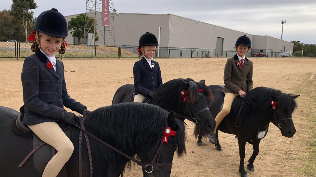 Amity, Marley and Cruize Thorpe competing at the Victorian All Shetland Show at Bendigo Showgrounds, Dec 11.