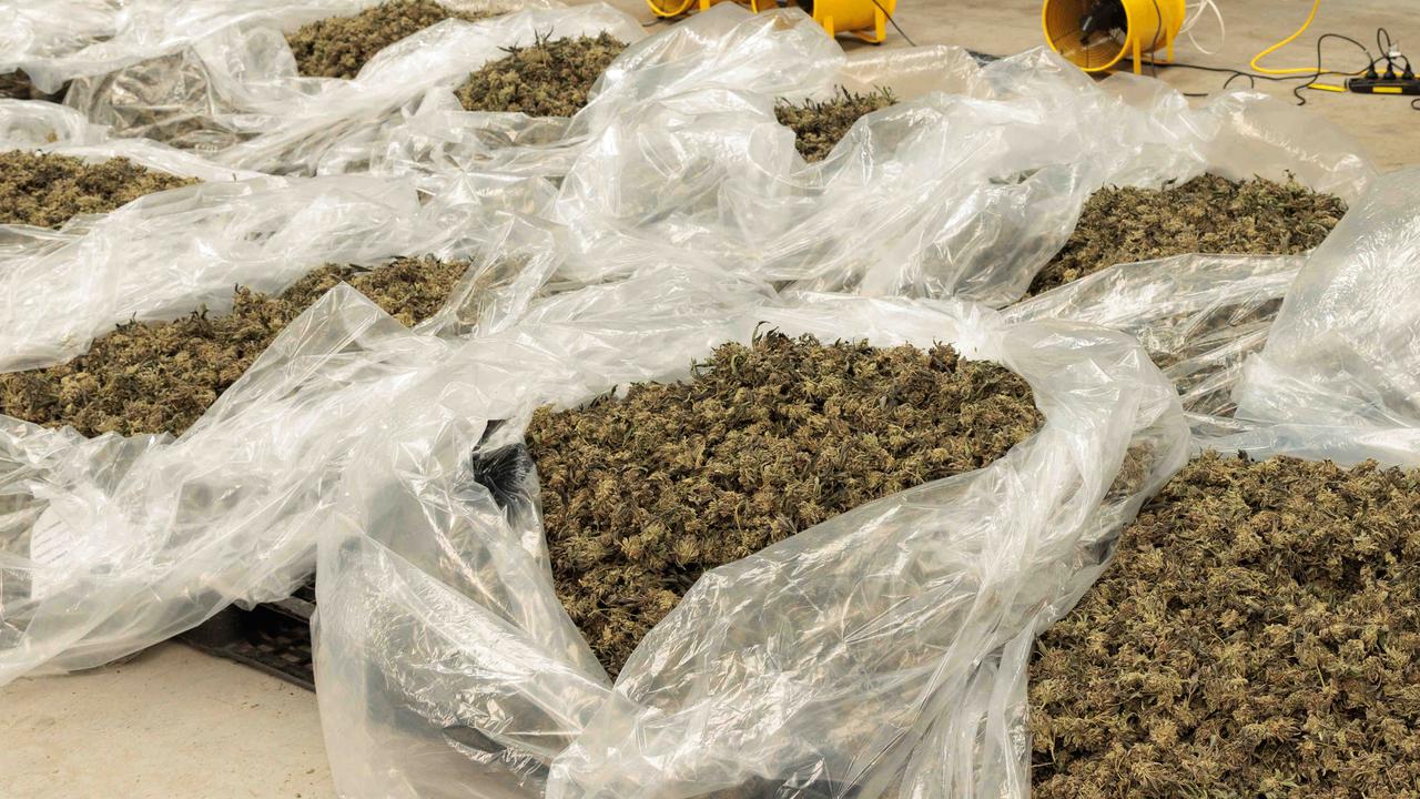 Medicinal cannabis a ‘$1bn drugs racket’
