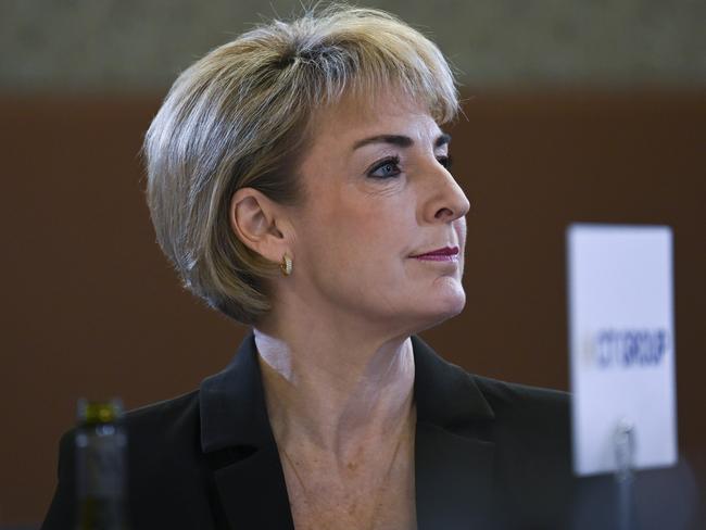 Coalition senator Michaelia Cash introduced her own legislation. Picture: NCA NewsWire / Martin Ollman