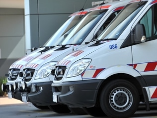 Vic paramedics to quit over low pay: poll.