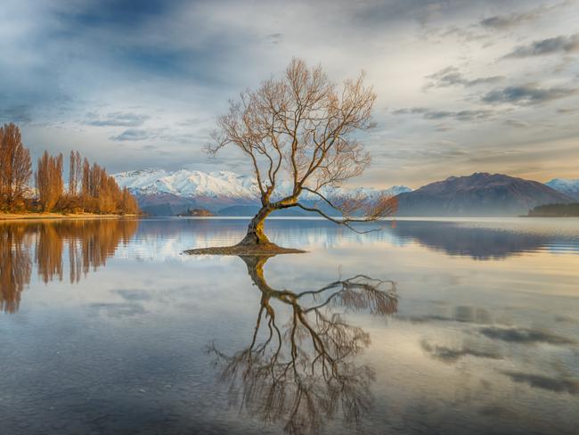 Wanaka Tree ... I had heard so much about this famous tree in Lake Wanaka. Although this scene had been photographed by many, I was artistically challenged to take my own version. The idea was to go on an early morning venture and get a good spot before the sun rose, capturing the glory of an amazing sunrise showering the tree in a golden light. Picture: Linda Cutche, New Zealander, 3rd Place, National Awards, 2017 Sony World Photography Awards