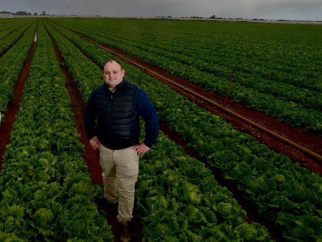 AUSVEG SA’s Jordan Brooke-Barnett said financial incentives may need to be increased to get more Australians taking up farm jobs. Picture: Sam Wundke