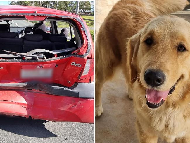 Mum, son and dog’s miracle escape from crumpled car