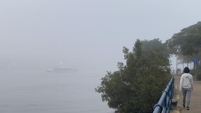 Thick fog also blanketed the river at Teneriffe. Picture: Kate Kyriacou