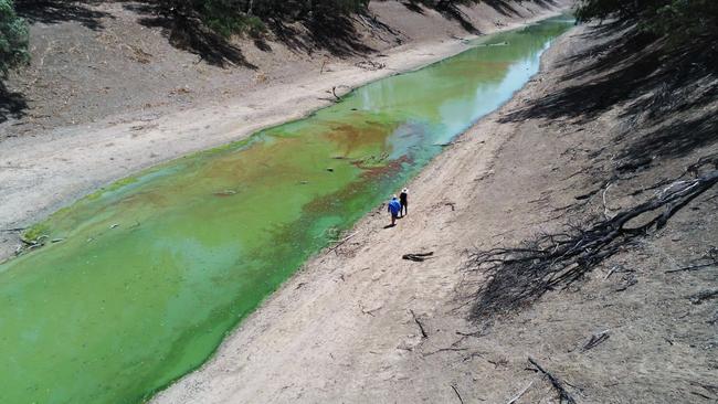 Troubled waters: Chrissy and Bill Ashby walk along the banks of the Darling River near their property Trevallyn Station at Tilpa in NSW’s west. Picture: Getty Images