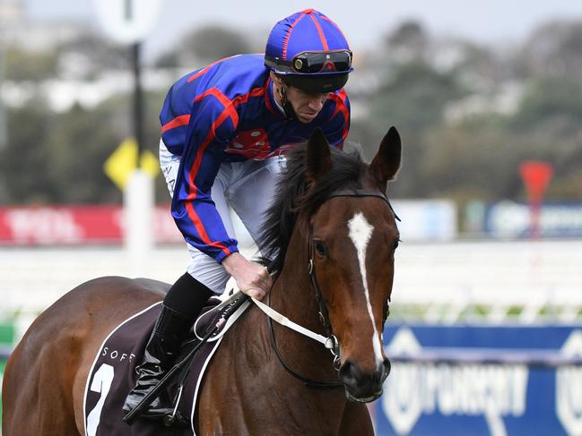 MELBOURNE, AUSTRALIA - SEPTEMBER 11: John Allen riding Ayrton to the start of race 5, the The Sofitel, during Melbourne Racing at Flemington Racecourse on September 11, 2021 in Melbourne, Australia. (Photo by Vince Caligiuri/Getty Images)