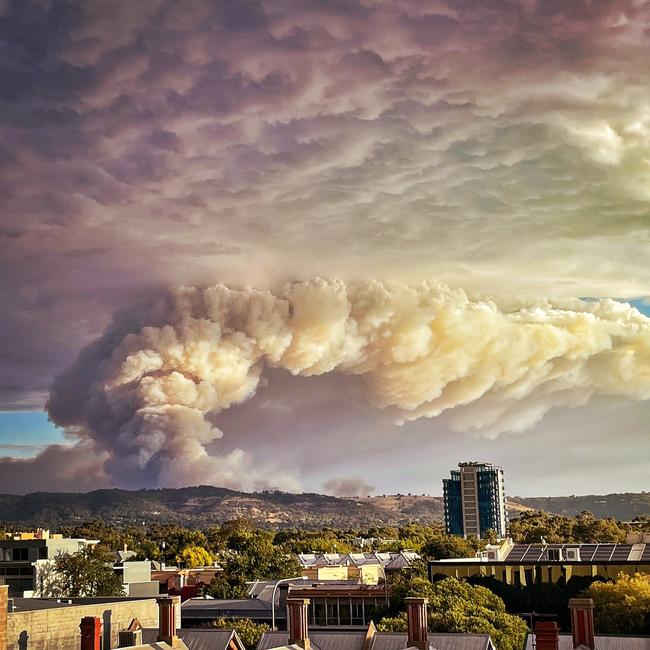 Cherry Gardens fire from the city. Picture: Raymund de la Cruz. Twitter/@RaymunddelaCruz