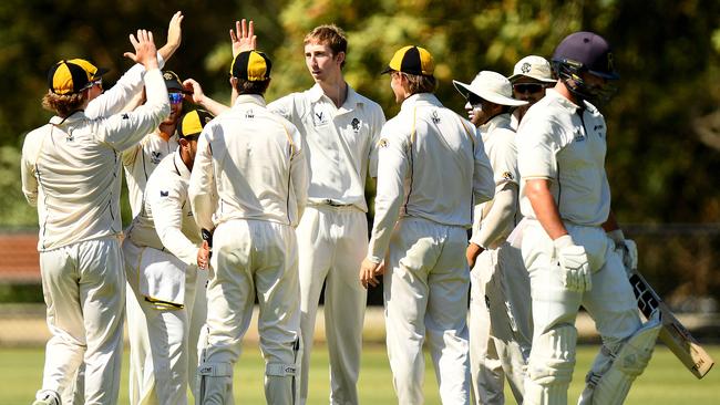 Richmond celebrate taking the wicket of Jackson Freeman. Photo by Josh Chadwick