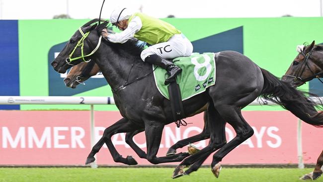 Cambar wins a Highway Handicap at Rosehill Gardens in November last year. Picture: Bradley Photos