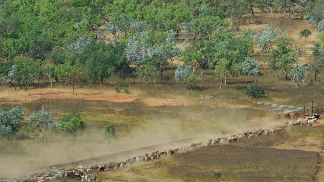 Wollogorang And Wentworth Cattle Stations On The Market Nt News