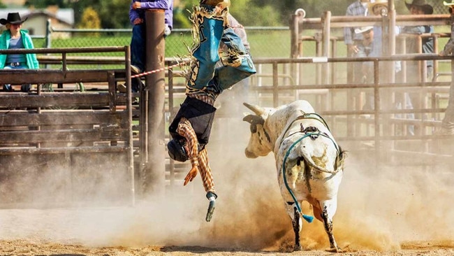 Getting a rare earths project off the ground can be a wild ride, but Arafura is saddling up anyway. Picture: Getty Images