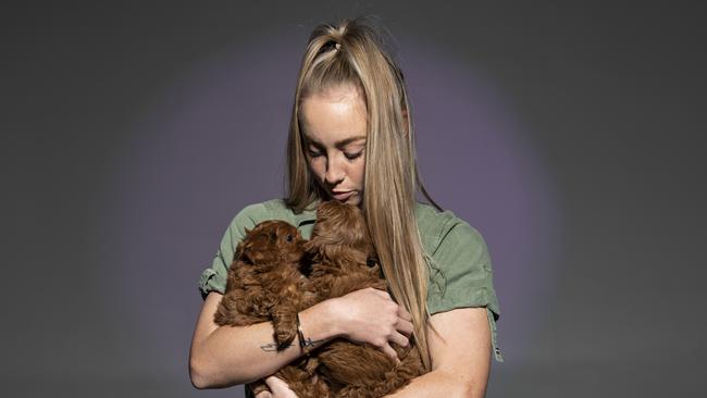 Diamond Valley Kennels attendant Grace Madden, 22, with cavoodles Kimmie and Katie. Picture: Mark Cranitch.