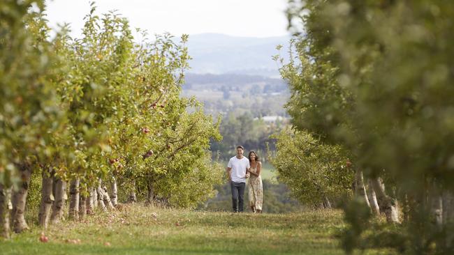 Borrodell Estate, near Orange. Picture: Destination