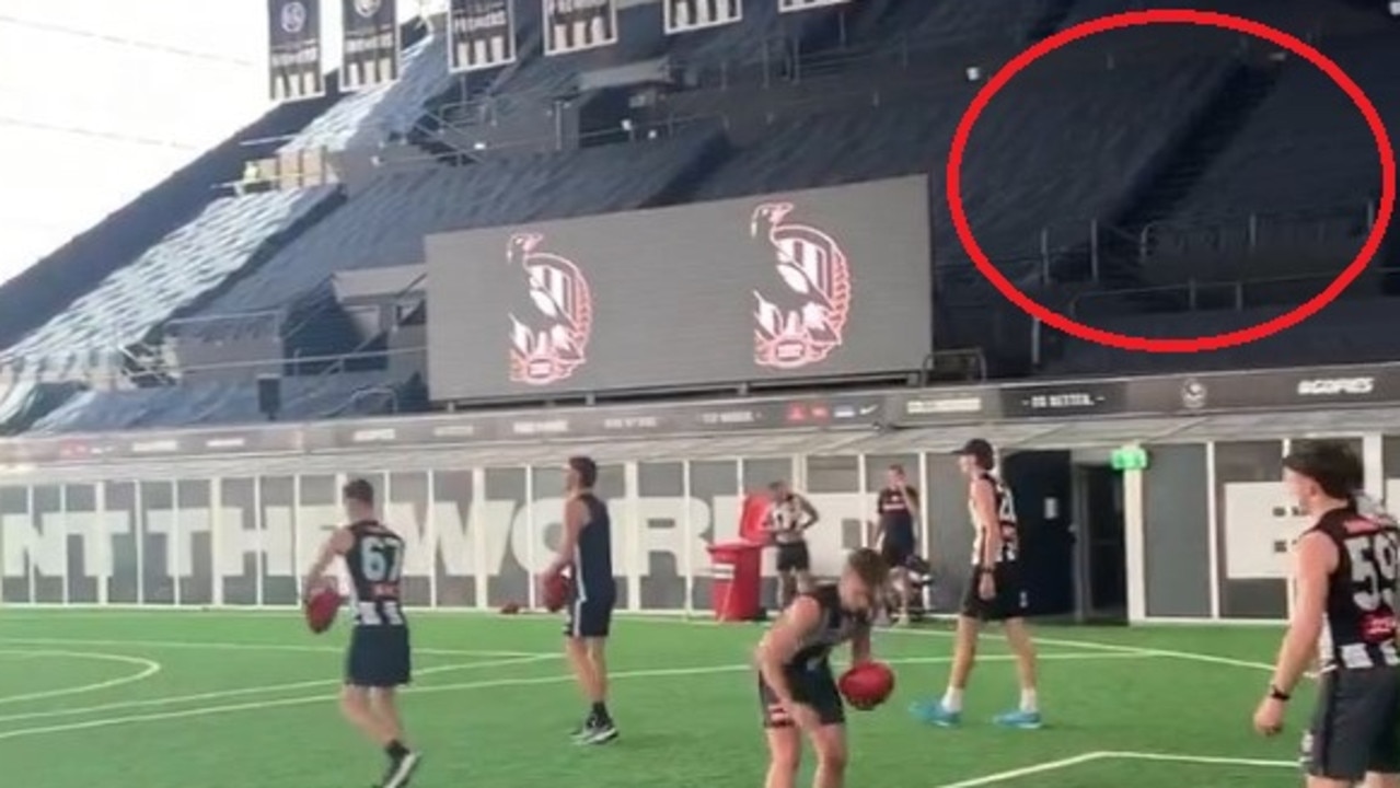 ‘Hasn’t gone down well’: Hidden issue in Collingwood training video sparks controversy